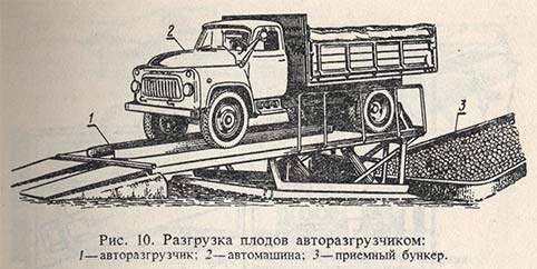 Разгрузка плодов авторазгрузчиком