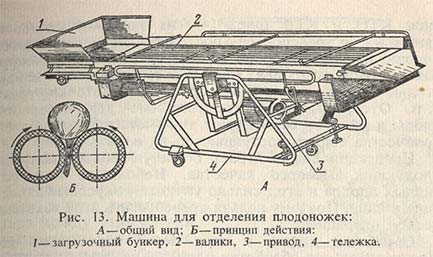 Машина для отделения плодоножек