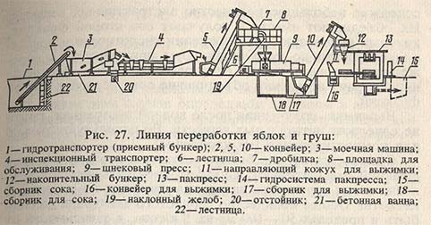 Линия переработки яблок и груш