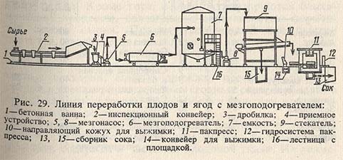 Линия переработки плодов и ягод с мезгоподогревателем