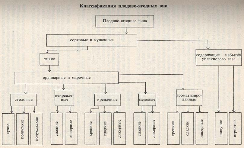 Классификация плодово-ягодных вин