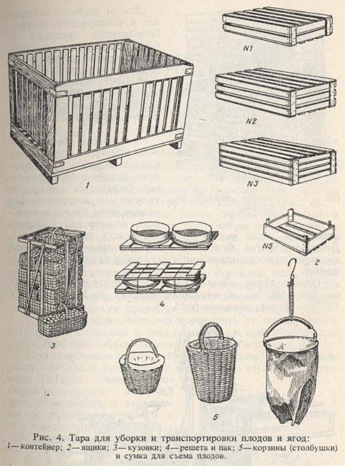 Тара для уборки и транспортировки плодов и ягод
