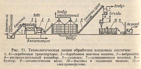 Технологическая линия обработки плодовых косточек