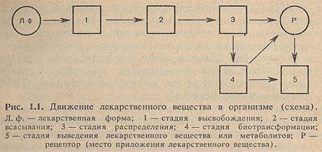 Движение лекарственного вещества в организме