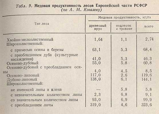 Таблица - Медовая продуктивность лесов Европейской части РСФСР