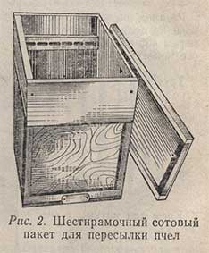 Шестирамочный сотовый пакет для пересылки пчел