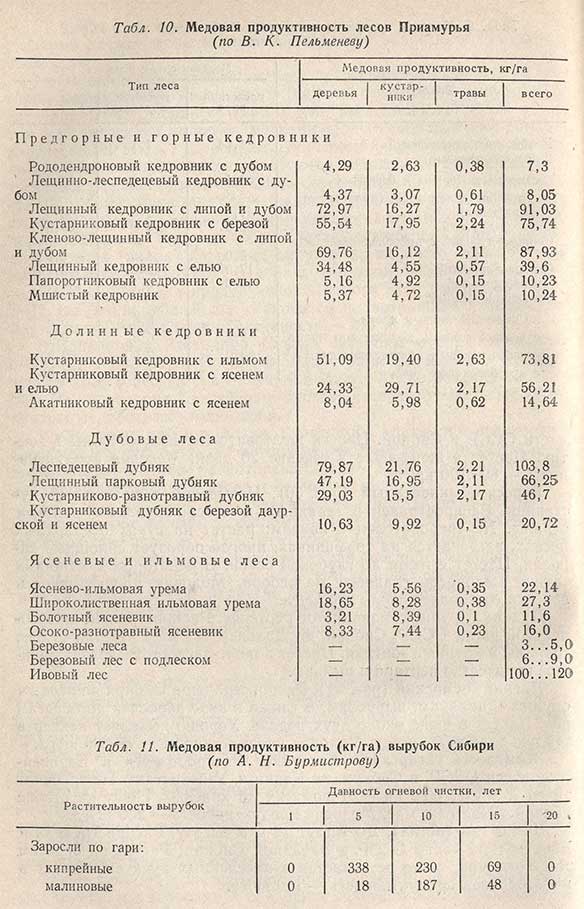 Таблица - Медовая продуктивность лесов Приамурья и вырубок Сибири