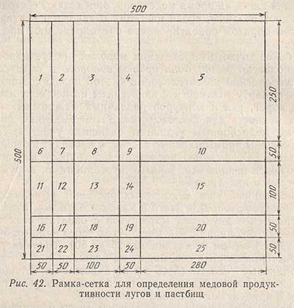 Рамка-сетка для определения медовой продуктивности лугов и пастбищ