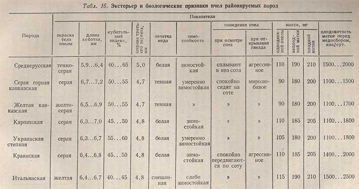 Характерные признаки породы. Экстерьерные признаки пород пчел. Сравнить породы пчел таблица. Характеристика пород пчел. Сравнительная характеристика пород пчёл.