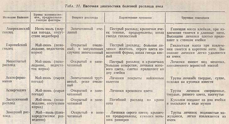 Пасечная диагностика болезней расплода пчел